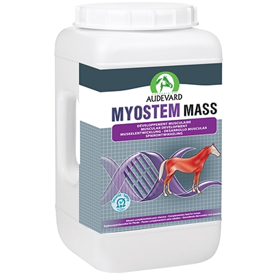 Myostem Mass 2,1 kg