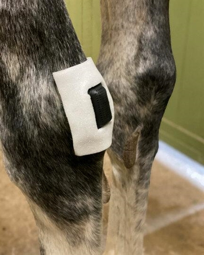 Rgeva ekstra klæber - Small