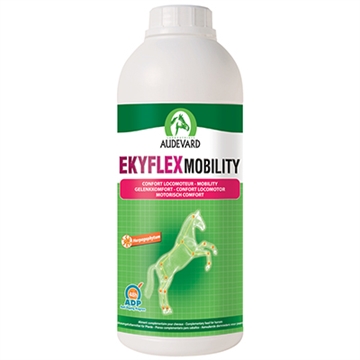 Ekyflex Mobility